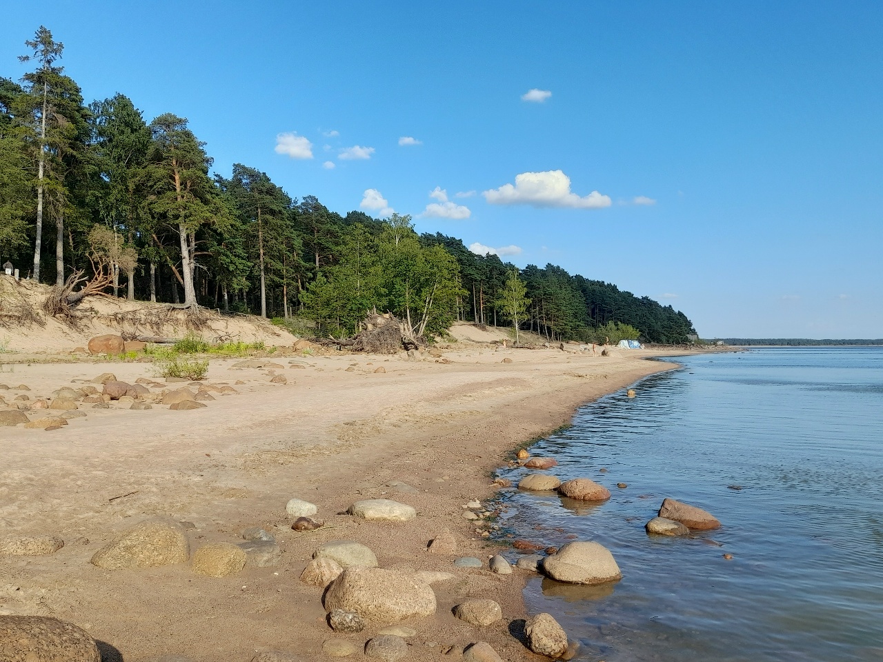 Репино