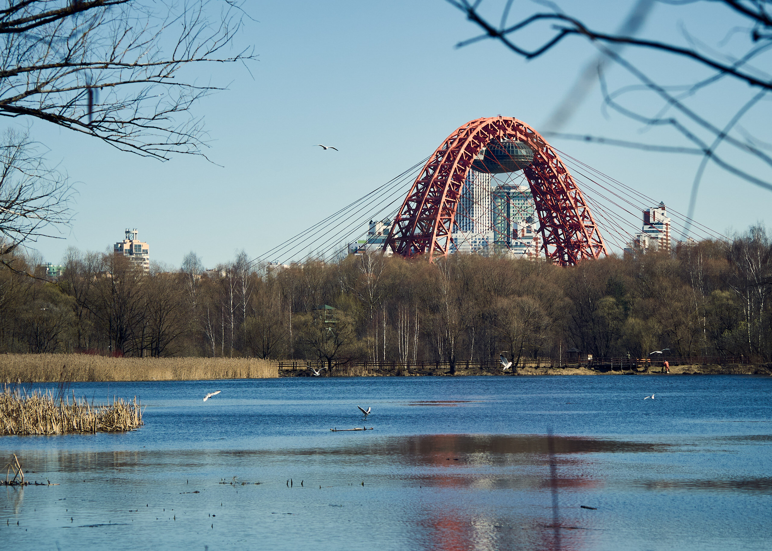 Парк «Серебряный бор»